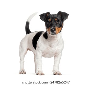 日本一本二本三区