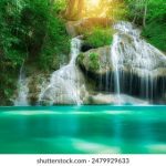 九色网站 6nbfcidu