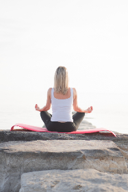 乡村无敌小兽医 小说