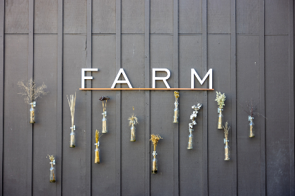 欧美成aⅴ人高清免费