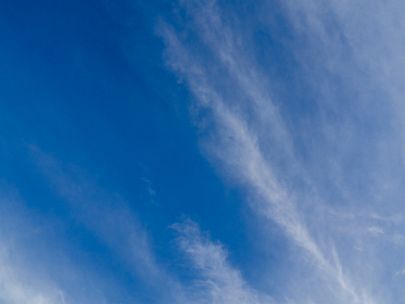 全面解析tvbox手机版：功能、优势与使用技巧