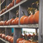 吾爱吃瓜在线:分享美食与生活的乐趣 46fyft71x3