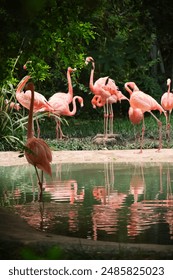 免费辅助论坛:为您提供全方位的学习与交流平台 免费辅助论坛:为您提供全方位的学习与交流平台