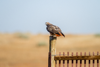 双男主小说：情感纠葛与友情的交织之旅