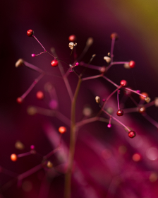 小宝寻花在线第二场完整版：精彩剧情与角色深度解析