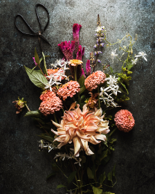 快手创造者服务平台：助力内容创作者实现梦想与价值的全新生态