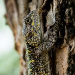 如何安全下载picacg哔咔官网入口及使用指南 i67m4