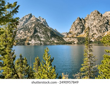 好好先生 好 vk：探索好好先生的魅力与价值观