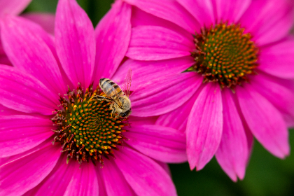 如何解决by9225官网无法访问的问题及解决方案