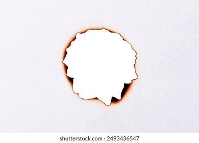 天仙TV：探索奇幻漫画世界的无限魅力