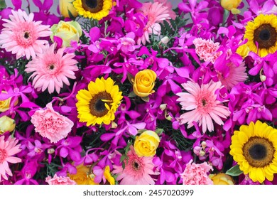 如何解决jableTV无法访问的问题及常见原因分析