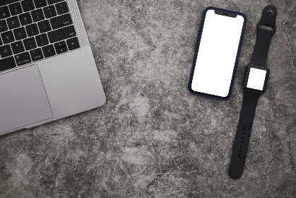 喵绅士官网：探索猫咪文化与时尚的完美结合