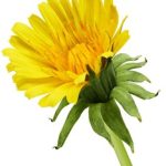 天仙tv导航直播:畅享高清直播,尽在指尖的视听盛宴 q26841rs4