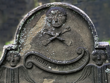 全面解析Videohub CC：功能、优势与应用场景