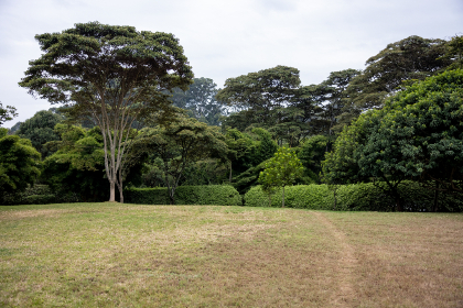 好先生2：重温经典，探寻人生的真谛与成长之路