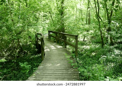 小宝寻宝视频免费版：探索神秘宝藏，开启奇幻冒险之旅！