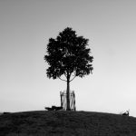 帝王导航会所:奢华享受与顶级服务的完美结合 rrvs1oedx