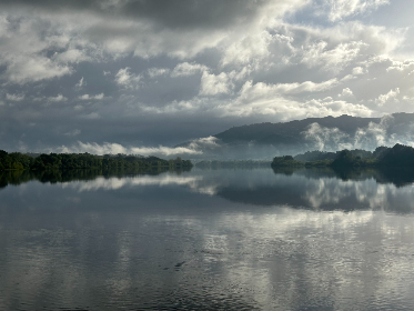 如何解决9uu被禁止访问的问题：详细步骤与技巧