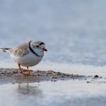 好先生大结局:揭示人生真谛与爱的深刻思考 u2lgz1gs