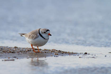 好先生大结局：揭示人生真谛与爱的深刻思考