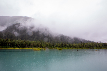 久久小说手机版：畅享海量小说资源，随时随地阅读乐趣