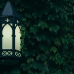 快手在线观看免费观看美食,尽享舌尖上的美味盛宴 xnfb4ifd