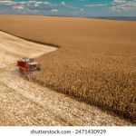 小宝tv网:畅享海量影视资源,尽在指尖的娱乐盛宴 ysgl8s1ilh