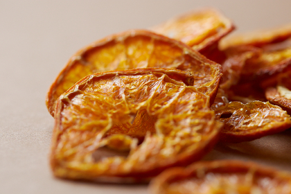 全面解析UESTC信息门户的功能与使用技巧