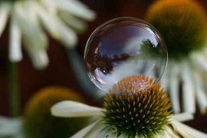 探索与分析：关于硬件的最新发展与趋势