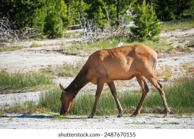 掌上宇宙手机版下载：探索无限宇宙的全新体验