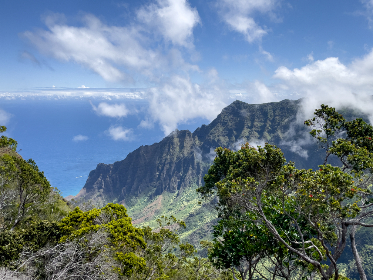 探索蜂鸟影视fnyy：影视爱好者的最佳选择与推荐