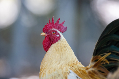 探索www.ymck.me：一个独特的在线平台与资源