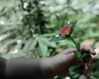 探索蛊真人小说txt：神秘蛊术与惊险冒险的完美结合