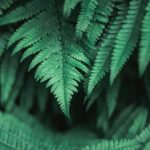 探索91av234:揭示其背后的故事与意义 dca0yt0u7c