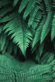 探索91av234：揭示其背后的故事与意义