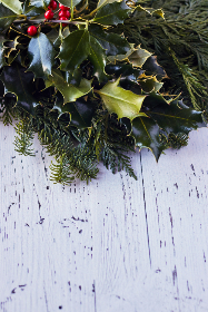 探索四川省南充技术职业学校官网的全面信息与资源