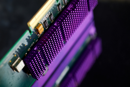 探索猫猫云：猫咪爱好者的在线交流平台