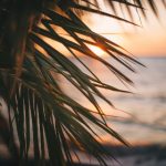 成龙历险记全集在线观看:畅享经典动画,陪你重温英雄传奇! ihqfi24pl6