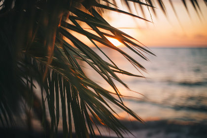 成龙历险记全集在线观看：畅享经典动画，陪你重温英雄传奇！