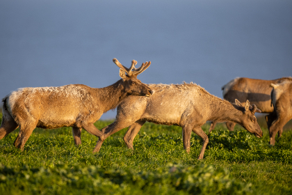 探索Sogox：我們的論壇綜合討論與分享平台