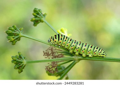 探索不见星空视频背后的神秘与美丽