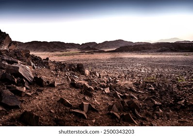 探索baoyu自动推荐系统的智能化应用与优势