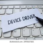 探索www.yhluoxu网站的独特魅力与功能 r61s5q