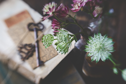 探索miniDivapnorhup：创新科技与时尚的完美结合