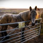 掌上WeGame安卓版:畅享游戏乐趣的最佳选择 usf0p