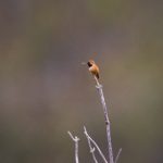 成全动漫视频在线观看完整版:畅享精彩动漫世界 wef5jjm