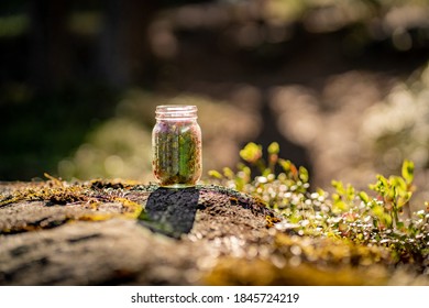 掌上华医app：便捷医疗服务平台，随时随地健康管理助手