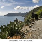 探索911红领巾瓜报网址的精彩内容与功能 xgjw0z