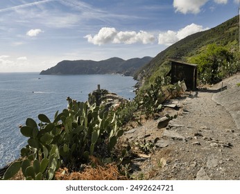 探索911红领巾瓜报网址的精彩内容与功能