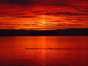 探索Funsta正版：畅享无限乐趣与创意体验